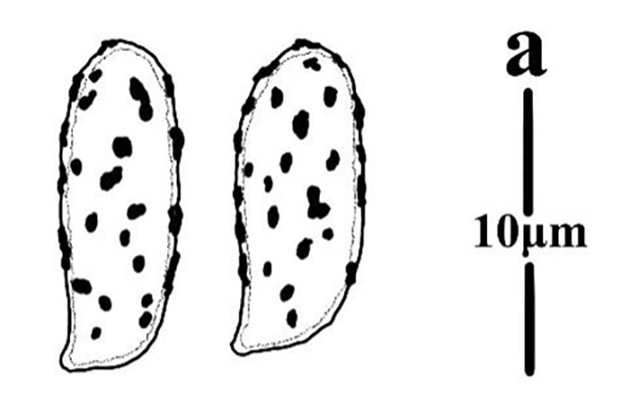 Figure 121